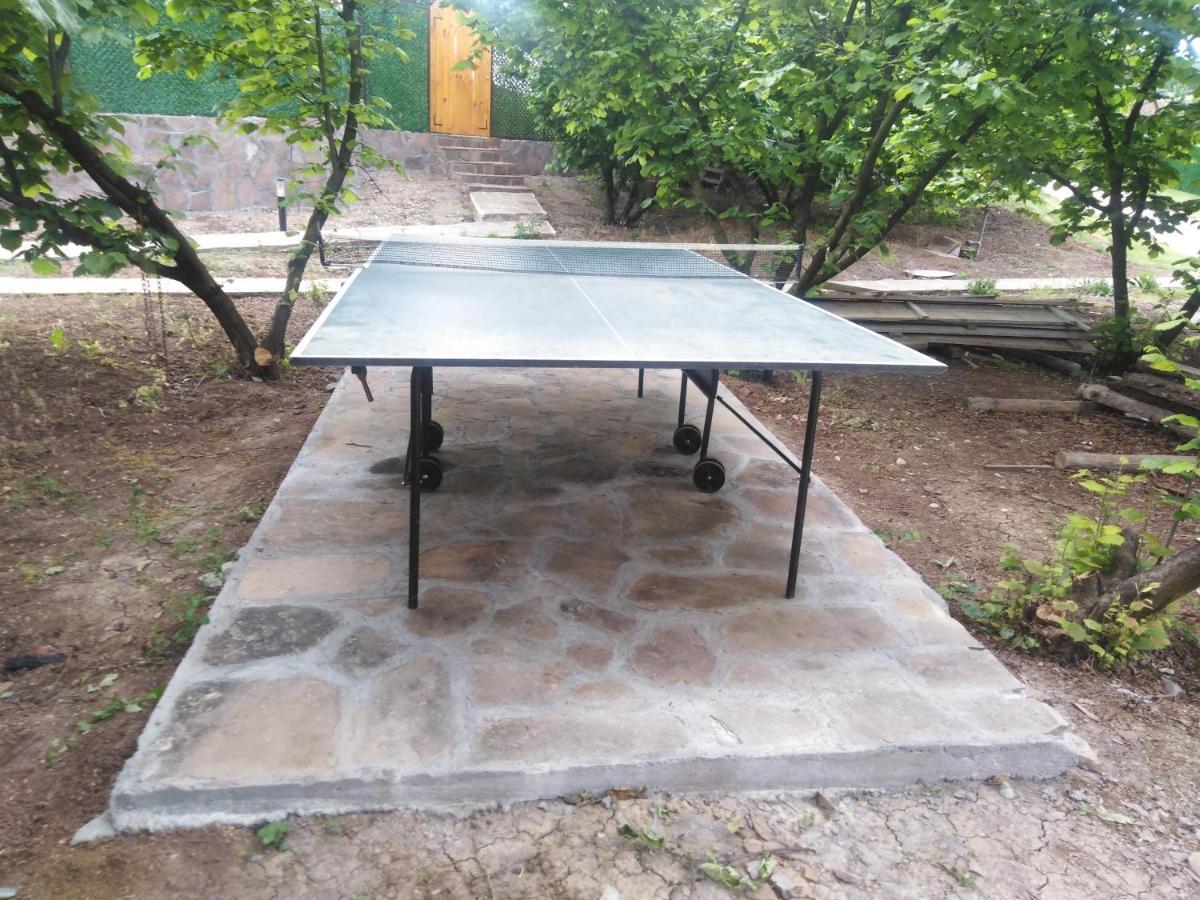 Vila Viktori Pirot Zewnętrze zdjęcie
